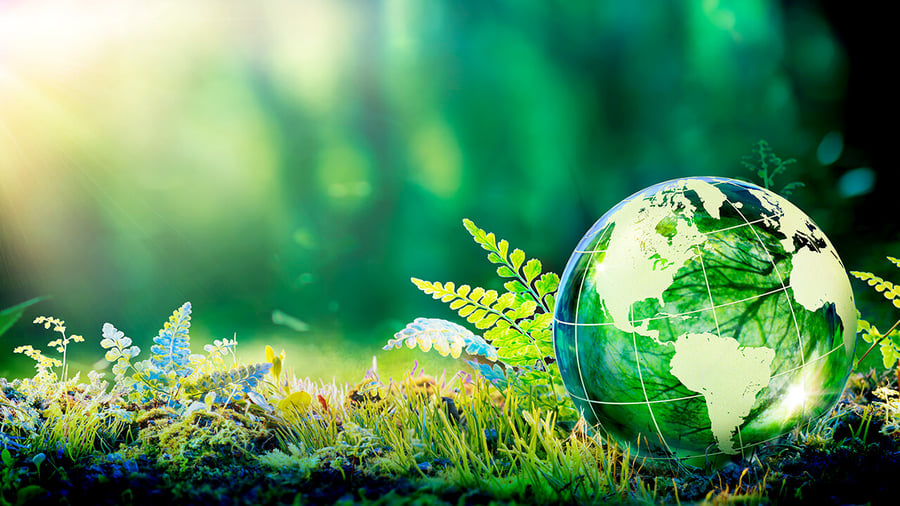 5 Ways to Reduce IT Carbon Emissions
